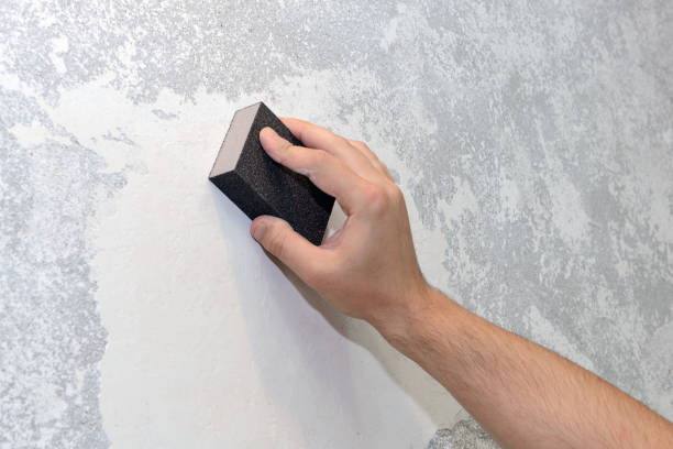 Best Forensic Mold Investigation  in Blue Jay, OH