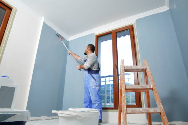 Best Mold Damage Restoration  in Blue Jay, OH