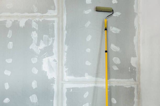 Best Mold Remediation for Healthcare Facilities  in Blue Jay, OH