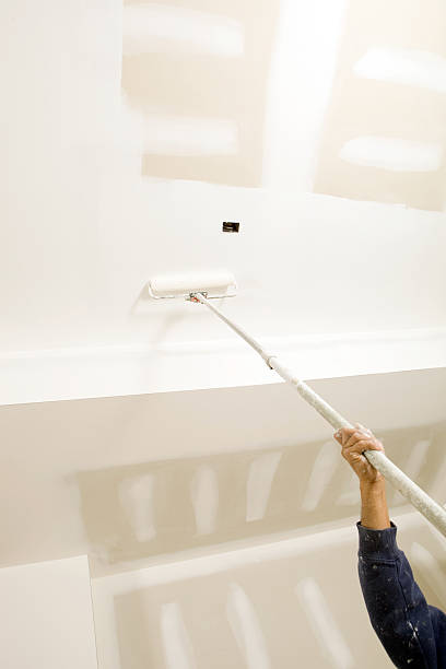 Best Mold Documentation for Insurance Claims  in Blue Jay, OH